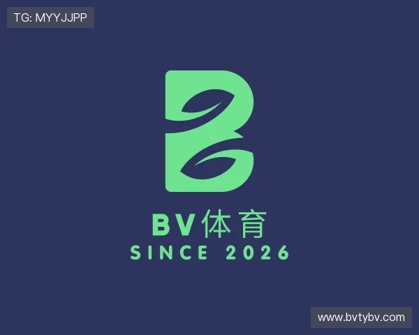 洞察bv体育